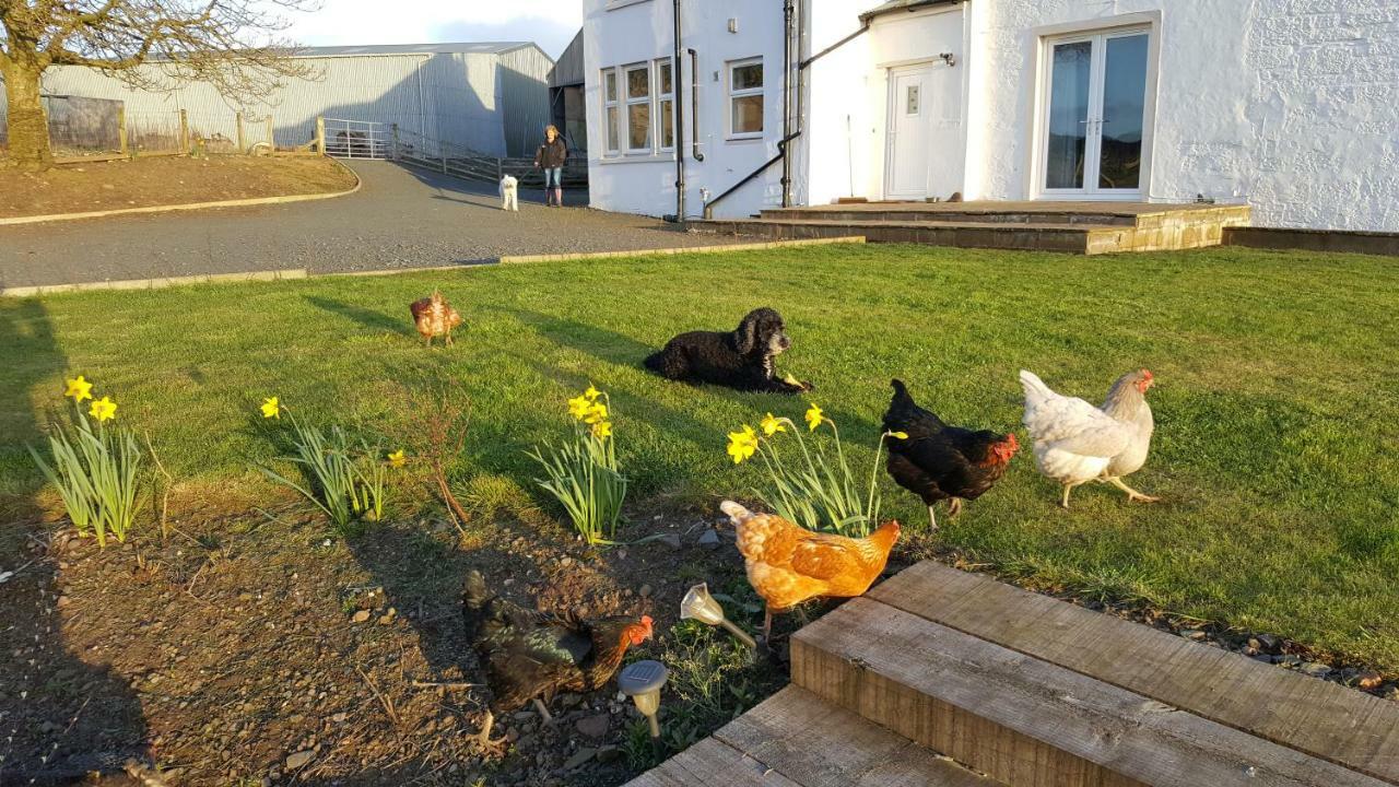 Crofthead Farm House Tarbolton Eksteriør bilde